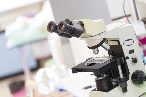 Полученный при биопсии материал исследуют под микроскопом