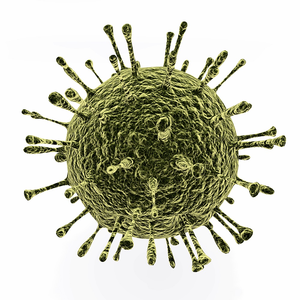 Illustration of the norovirus