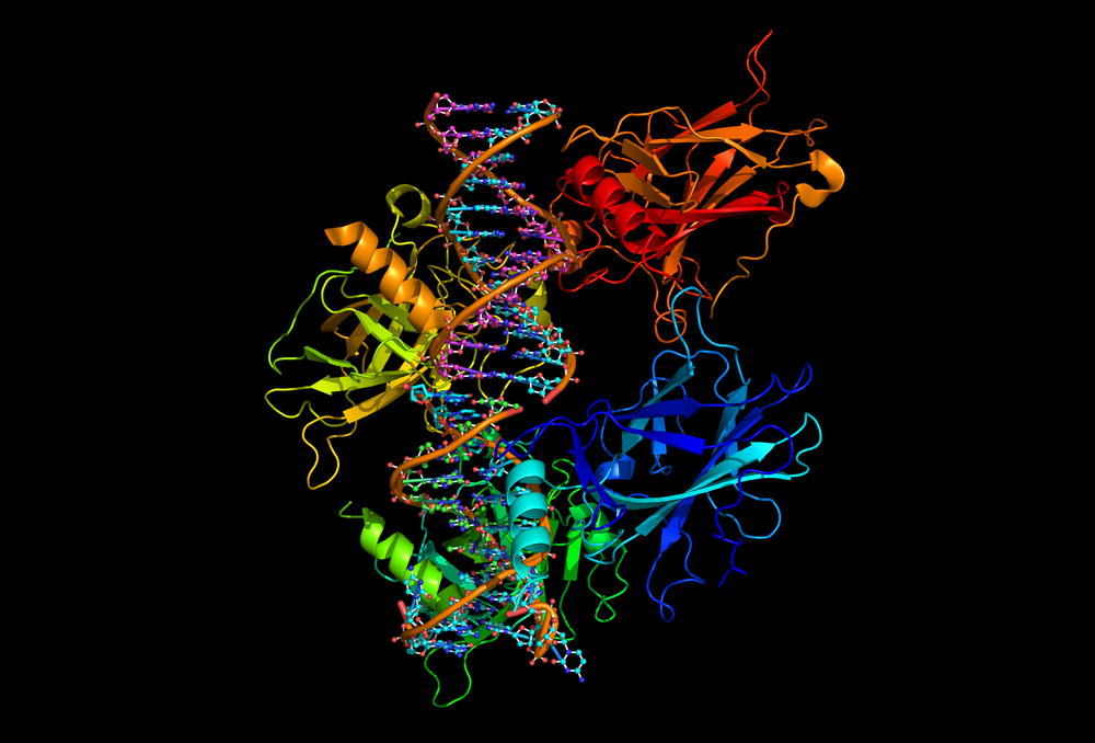 Генетические мутации деактивируют функции белка ТР53
