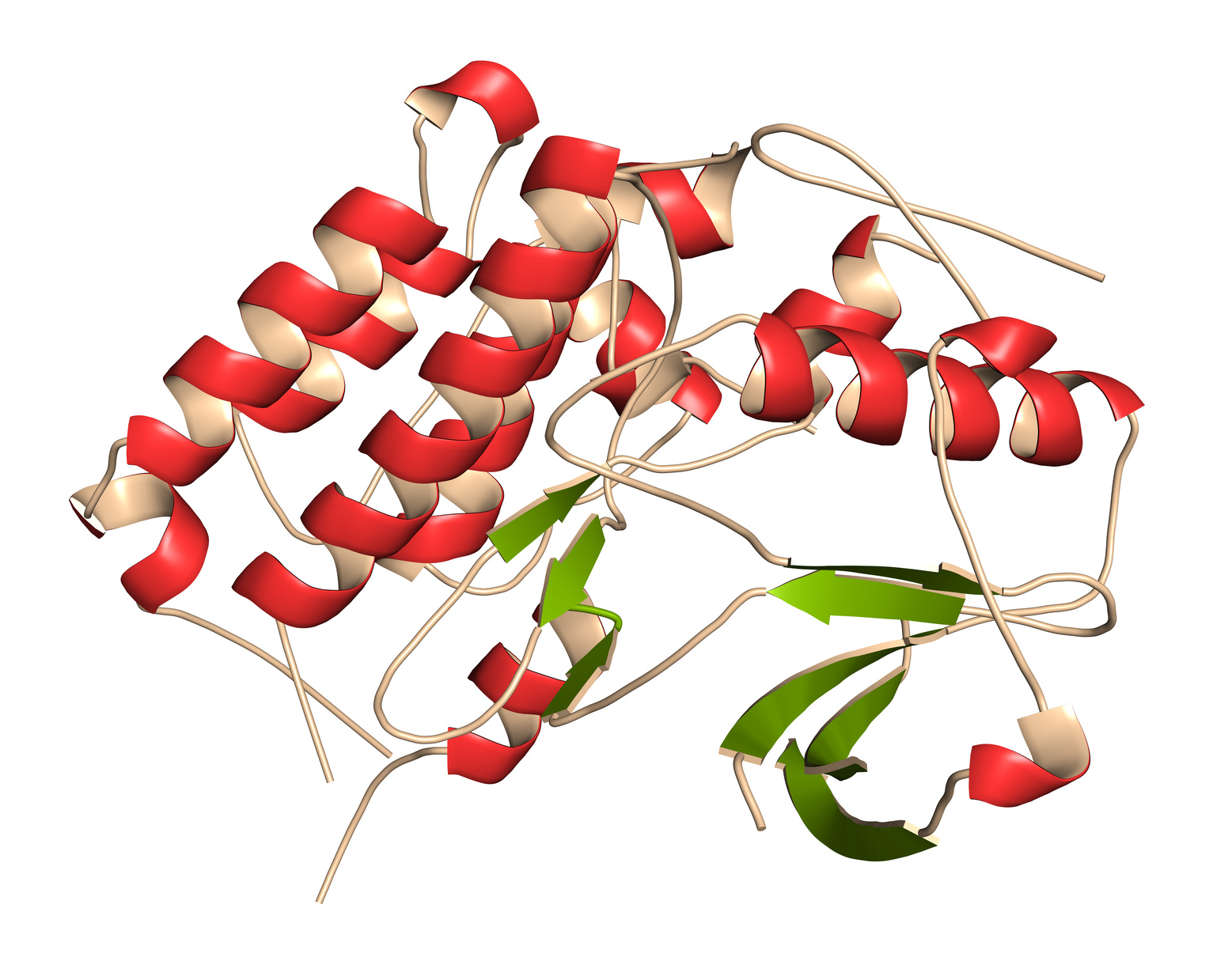 Молекула ферментов анапластической лимфомы киназы