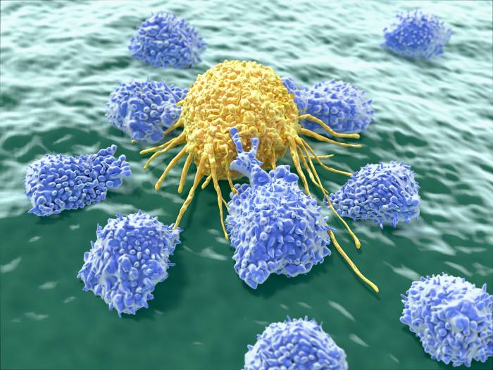 Лимфоциты атакуют опухолевую клетку