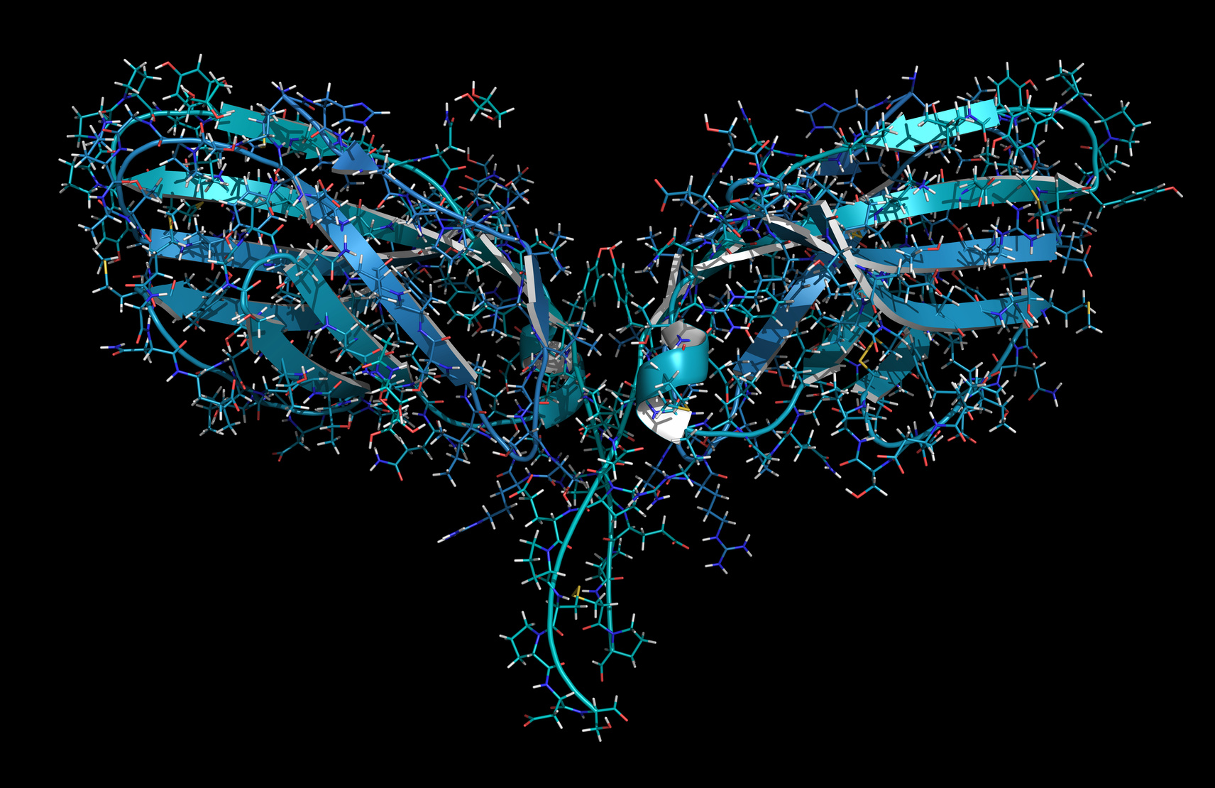 Молекула белка CTLA-4
