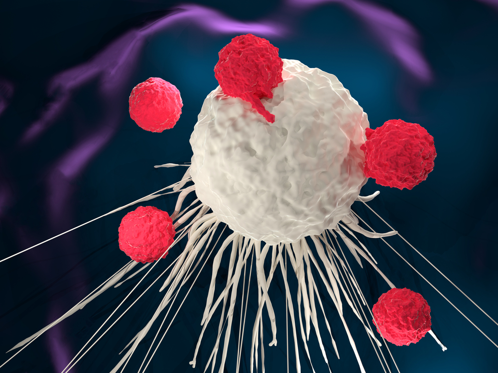 Т-клетки атакуют раковую клетку