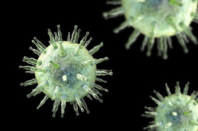 Клетки вируса Эпштейна-Барр. Считается, что он может быть причиной возникновения лимфогранулематоза.