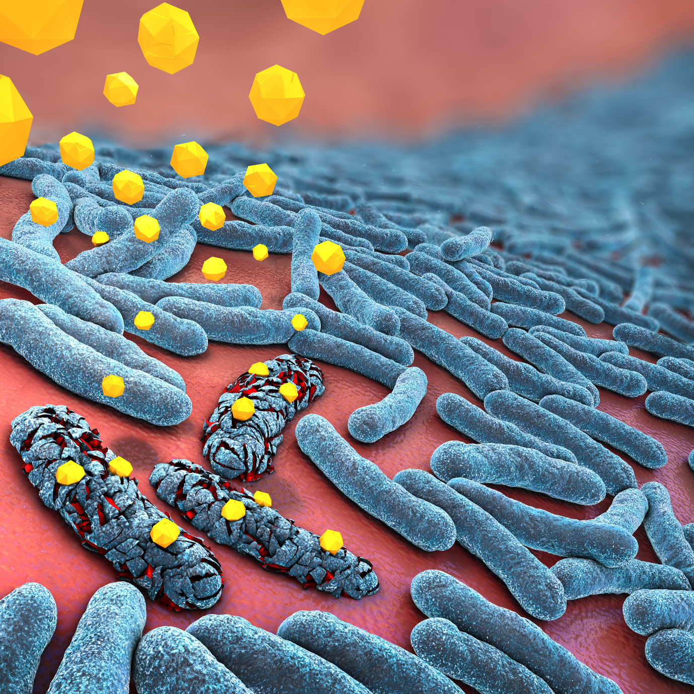 Антибиотик разрушает бактерии